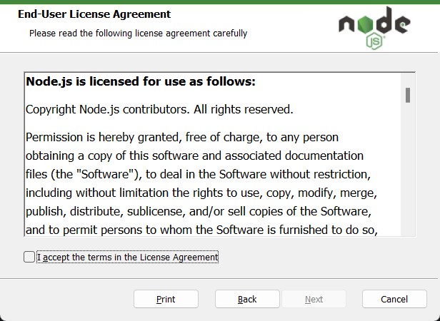 The Node.js install wizard